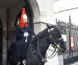 Her Royal Majisty's Mounted Lifeguard