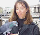 Those crazy pigeons of Trafalgar Square