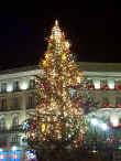 Christmas tree in Puerta del Sol