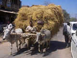 Hay!!  I mean Hey!! Watch out!