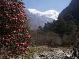 Ah, the unmatched beauty of Nepal