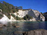 Beautiful Mare's Leg Cove just north of Auckland